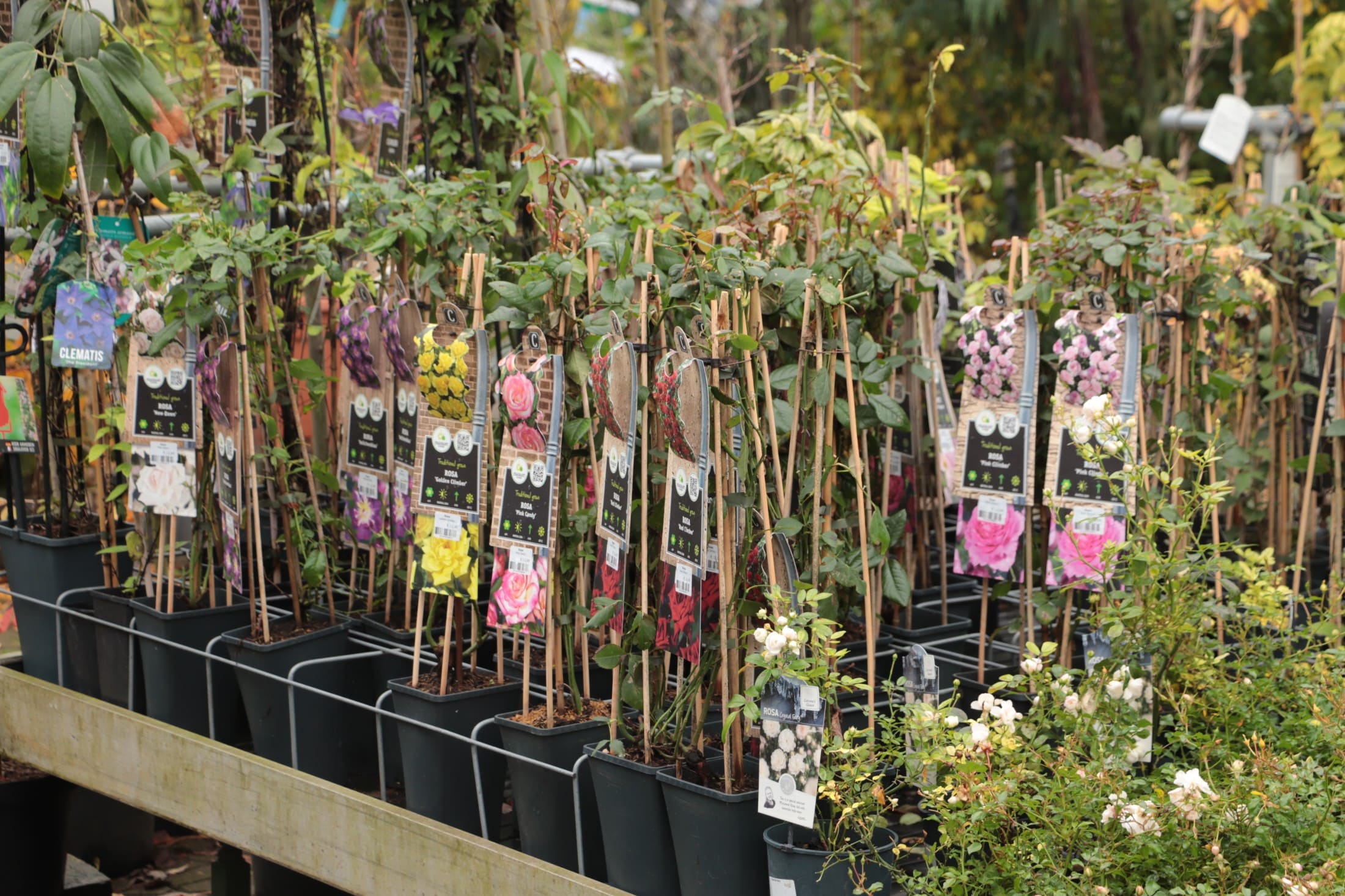 Groeiend Groen Groeiend Groen Plantencentrum