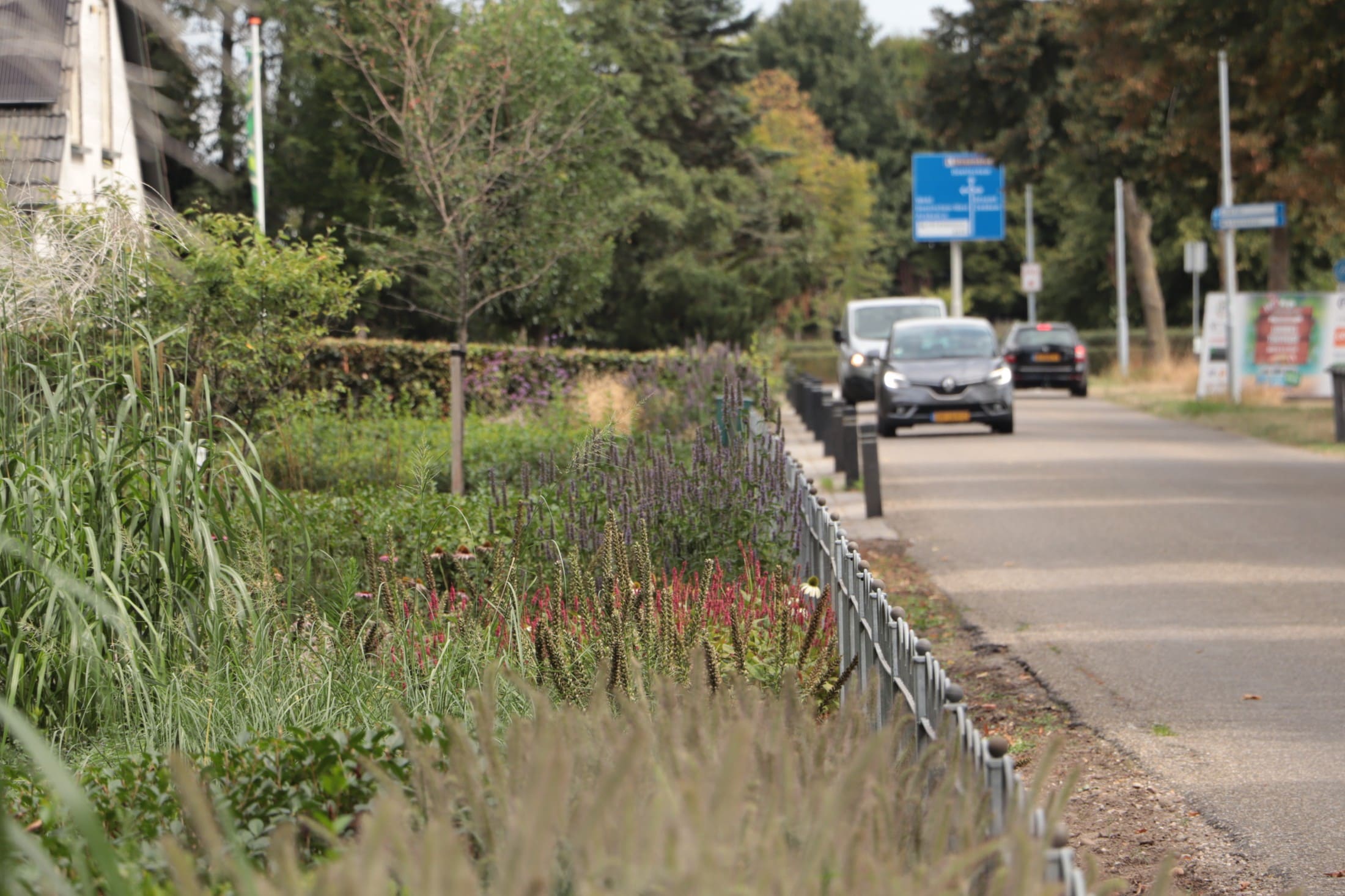 Landelijke tuin in Kilder