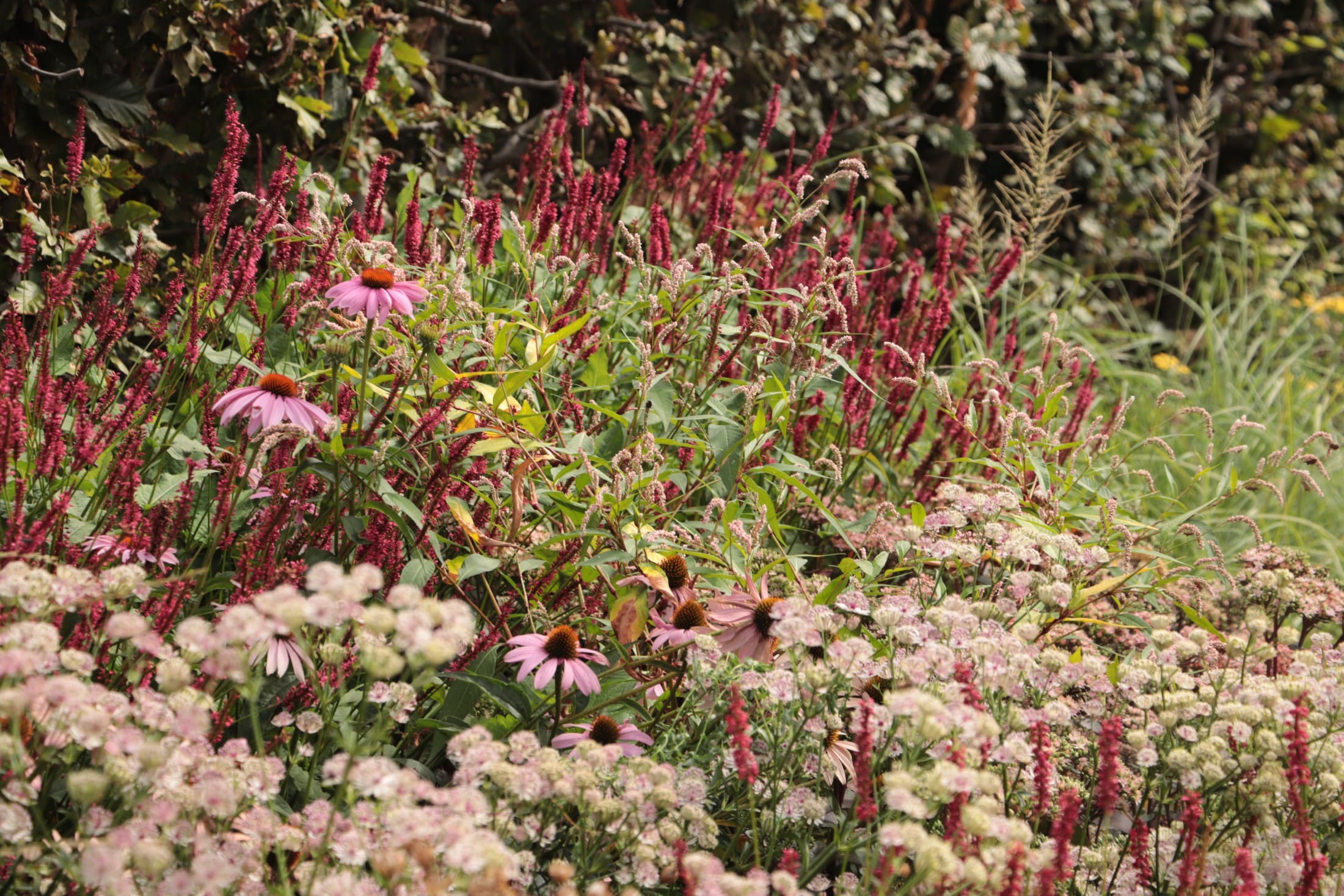 Landelijke tuin in Kilder