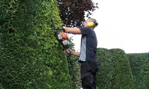 Tuinonderhoud Tuinonderhoud