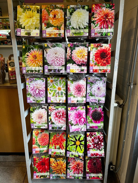 Bloembollen Bloembollen