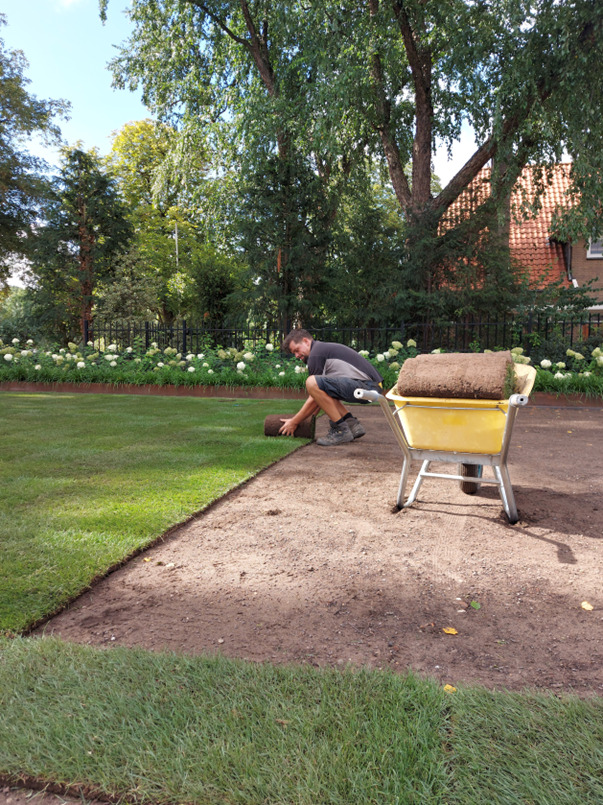 Graszoden, graszaad en kunstgras