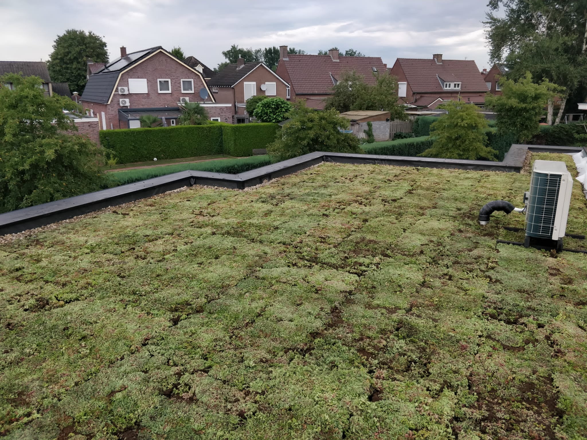 Sedumdaken Sedumdaken