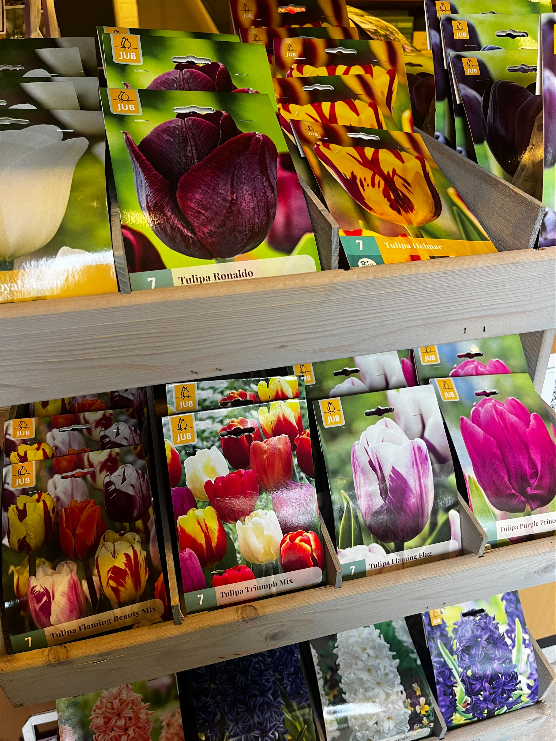 processed-61B50ECE-1DD4-49EA-B929-B79FD5A621A1