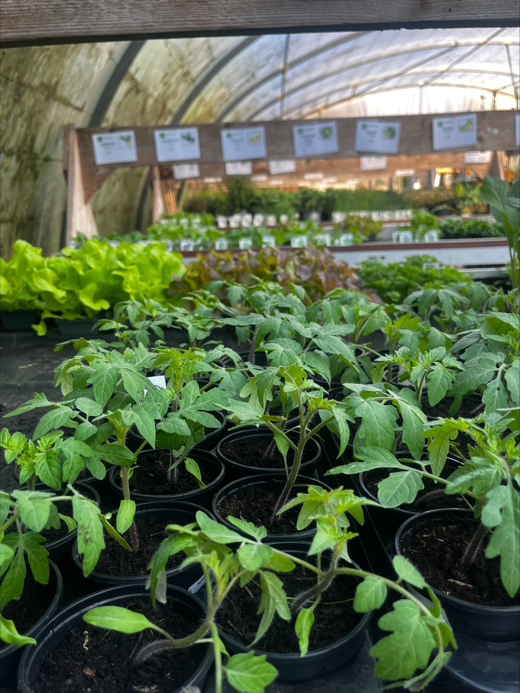 processed-C47325A3-382C-49BA-A407-020F1504ACB7