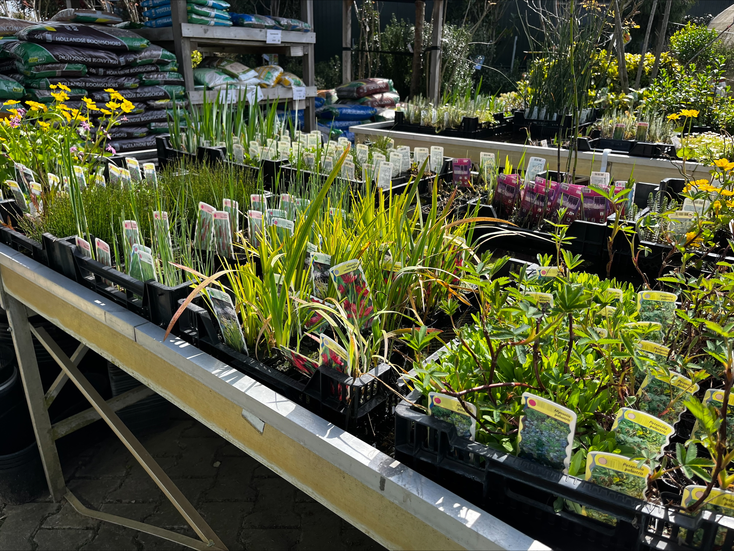 processed-021D4716-2745-4B4A-841C-9F6BD9A4ABE8